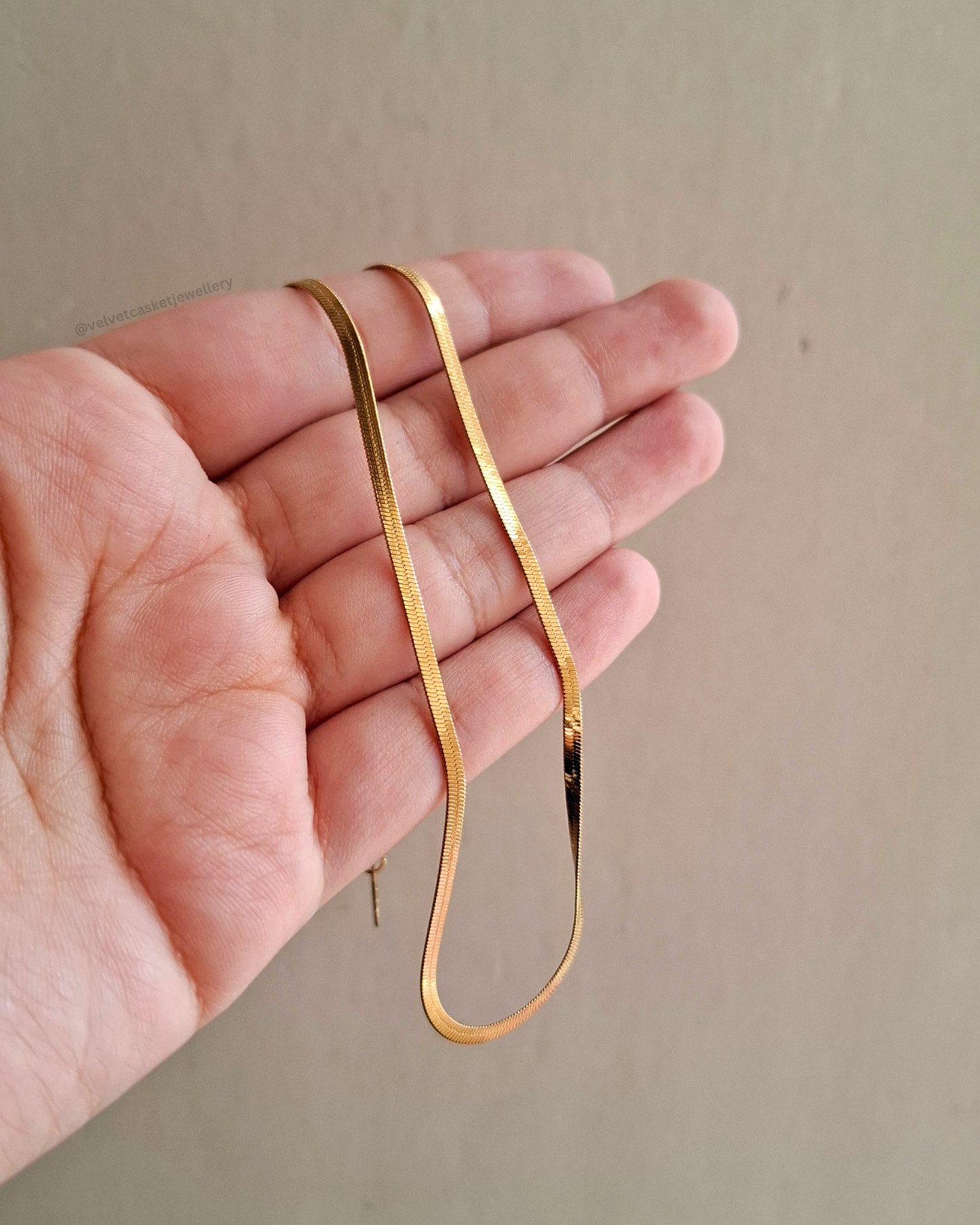 Raya Snake Chain ( Anti Tranish )