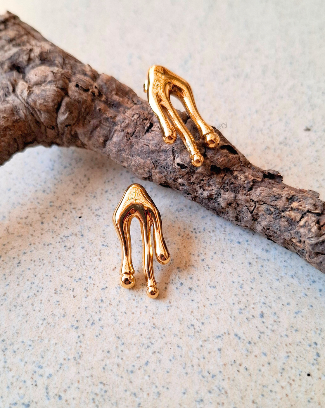 Ami Earrings ( Anti Tranish )